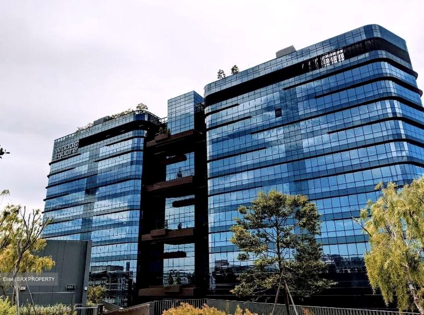 Woods Square (D25), Office #621494081